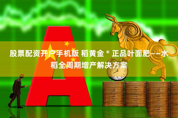 股票配资开户手机版 稻黄金 ® 正品叶面肥——水稻全周期增产解决方案