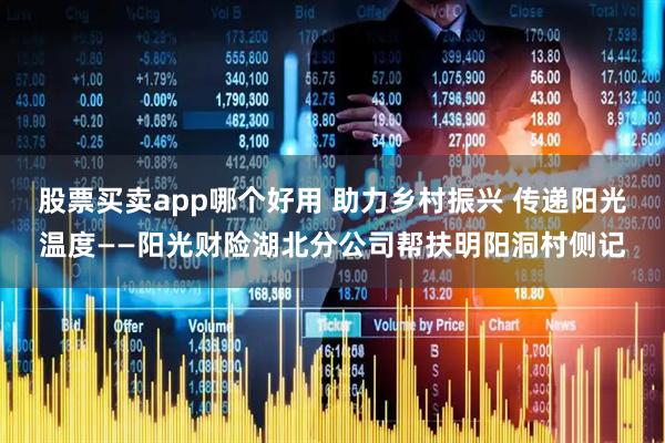 股票买卖app哪个好用 助力乡村振兴 传递阳光温度——阳光财险湖北分公司帮扶明阳洞村侧记