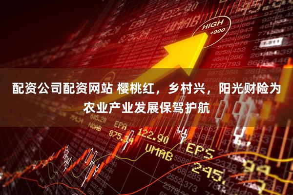 配资公司配资网站 樱桃红，乡村兴，阳光财险为农业产业发展保驾护航
