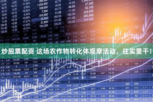 炒股票配资 这场农作物转化体观摩活动，往实里干！